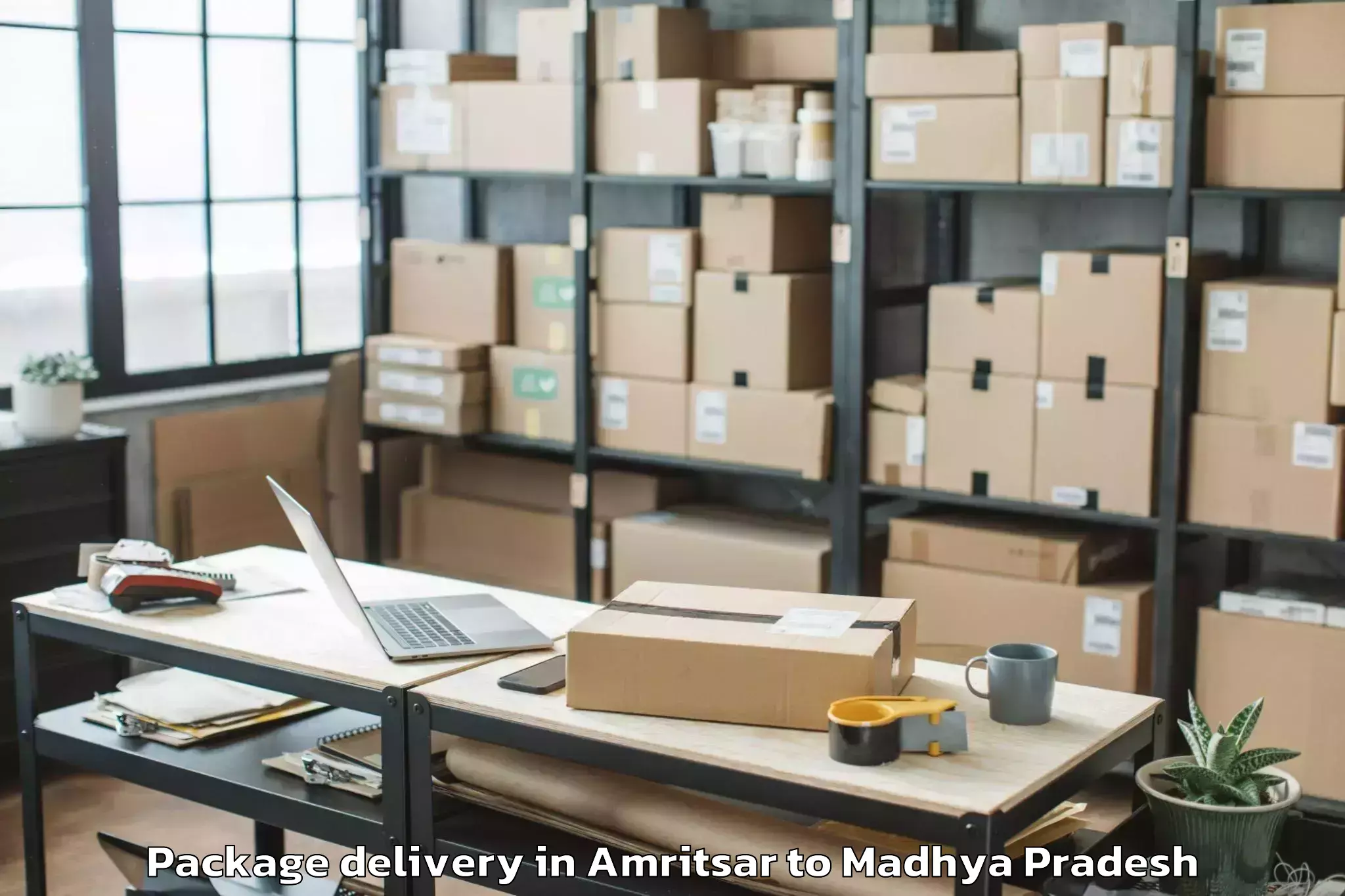 Trusted Amritsar to Khategaon Package Delivery